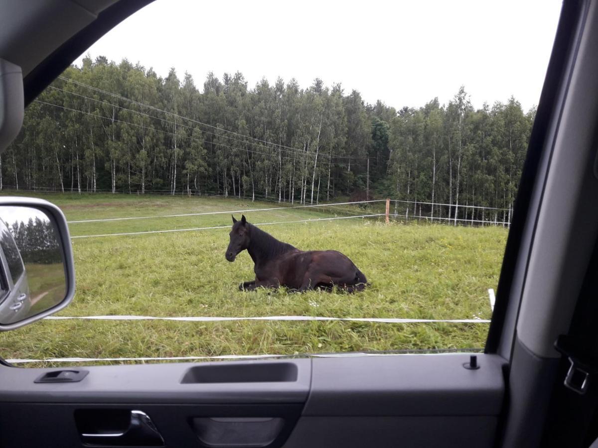 Apartamenty Lubiewo Mikołajki Luaran gambar