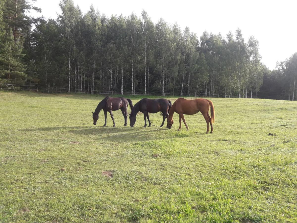 Apartamenty Lubiewo Mikołajki Luaran gambar