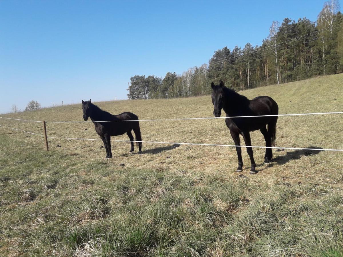 Apartamenty Lubiewo Mikołajki Luaran gambar